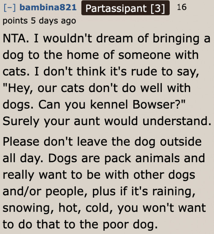 Bringing dogs to a home with cats is a bad idea.