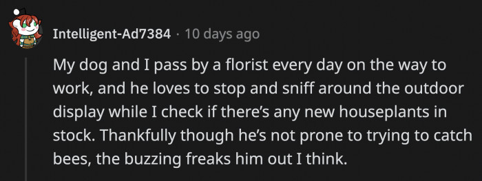 You have to be watchful of stinging creatures your dog might encounter