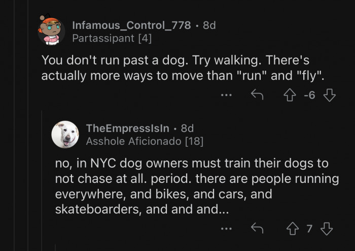 People should train their dogs not to chase anything.