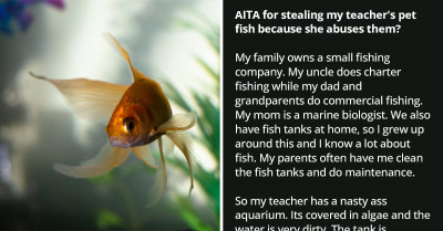 Boy Who Stole His Teacher’s Pet Fish Because She Abuses Them Turns To Reddit For Advice