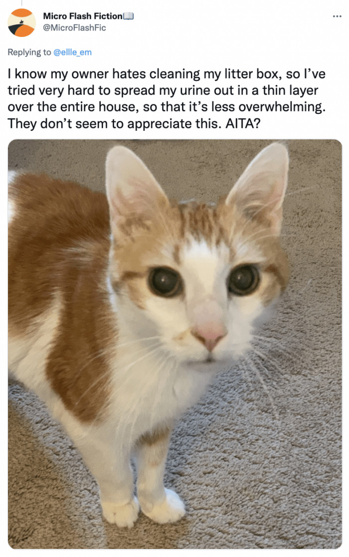 17. Always make use of your litter box, kitty