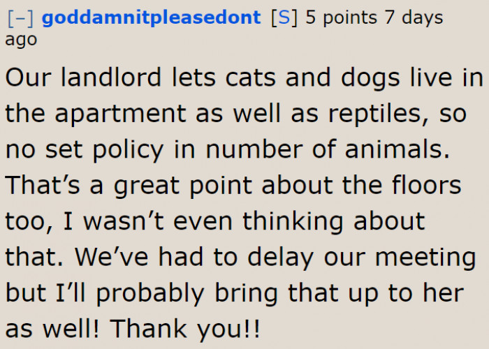 Apparently, the landlord allows pets in their place.