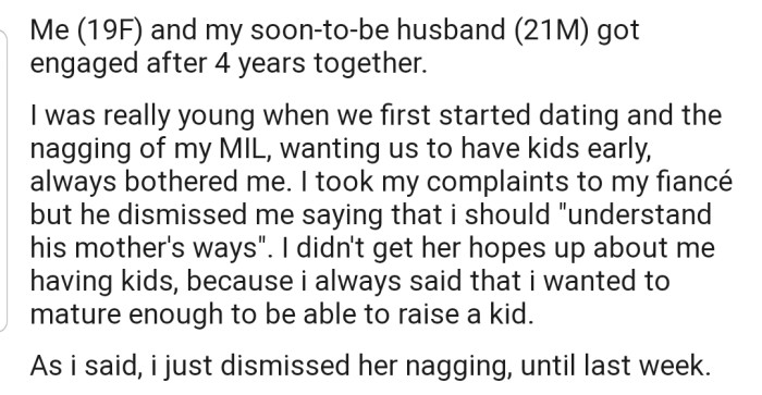 OP and her heart-throb are planning on tying the knot. As excited as OP is, she doesn't seem pleased with her MIL always nagging about them having kids early