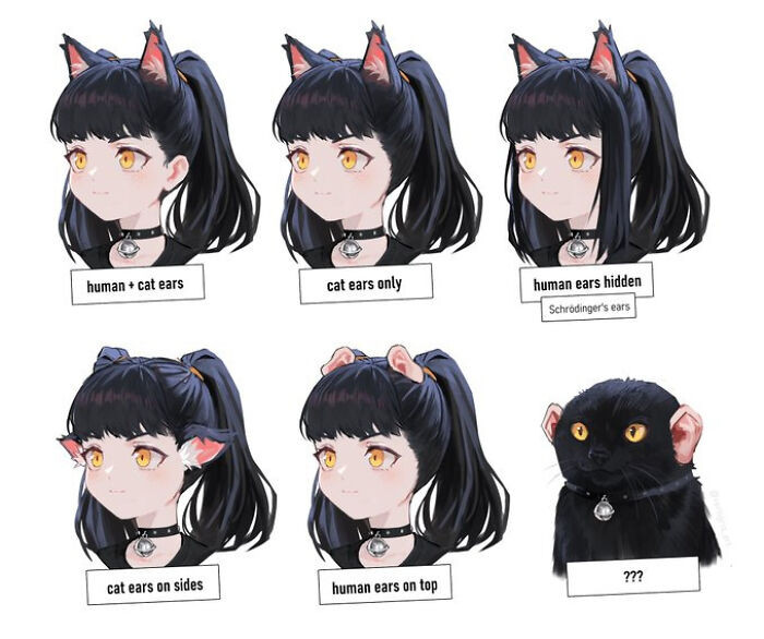 27. Comprehensive Guide To Catgirl Ears