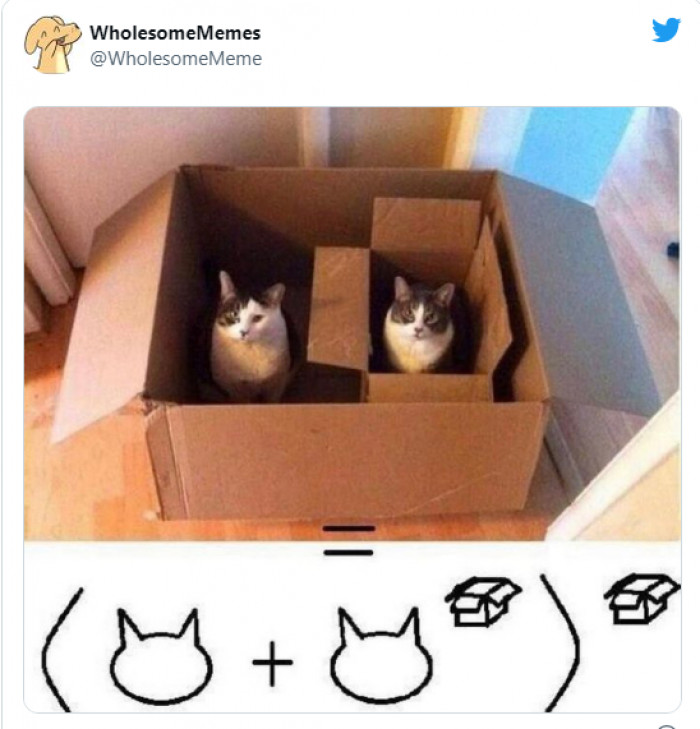 11. The math behind friendship isn't so hard