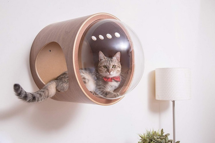 Spaceship-inspired feline beds give cats a stellar snoozing spot