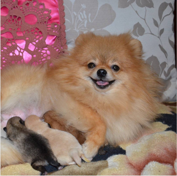 10. She looks so proud