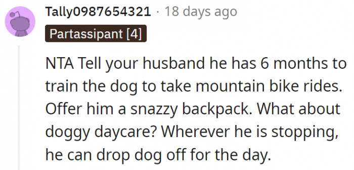 17. Training the dog to go along on mountain bike rides or putting it in daycare are also other options.