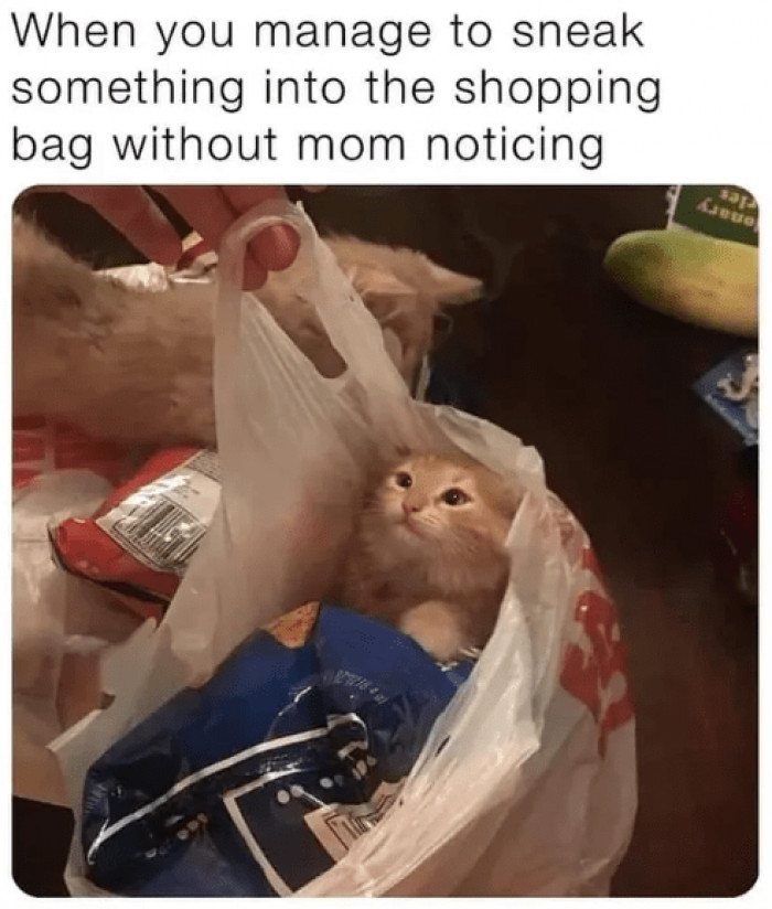 16. Oh, hello, you found me. Mission complete!