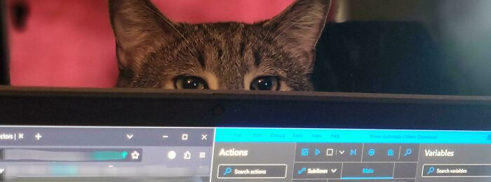 45. Their supervisor would like to discuss productivity.