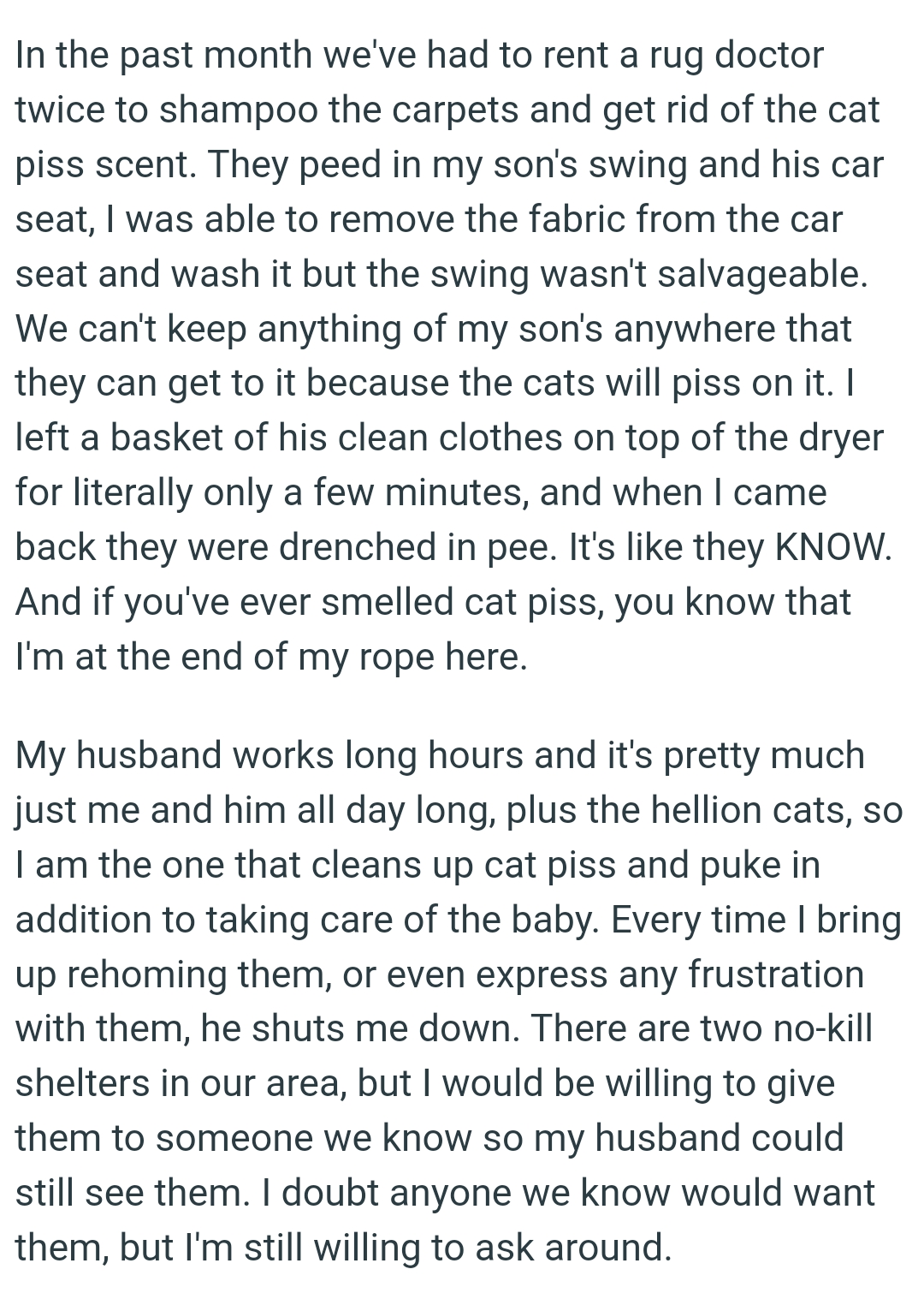 They Can't Keep Anything of Their Son's Anywhere That the Cats Can't Get to It