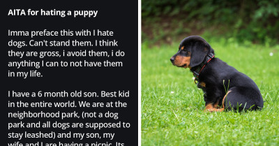 Dad On A Picnic With His Family Drops The F-Bomb On A Pet Owner Who Allowed Puppies To Approach His Six-Month-Old Baby