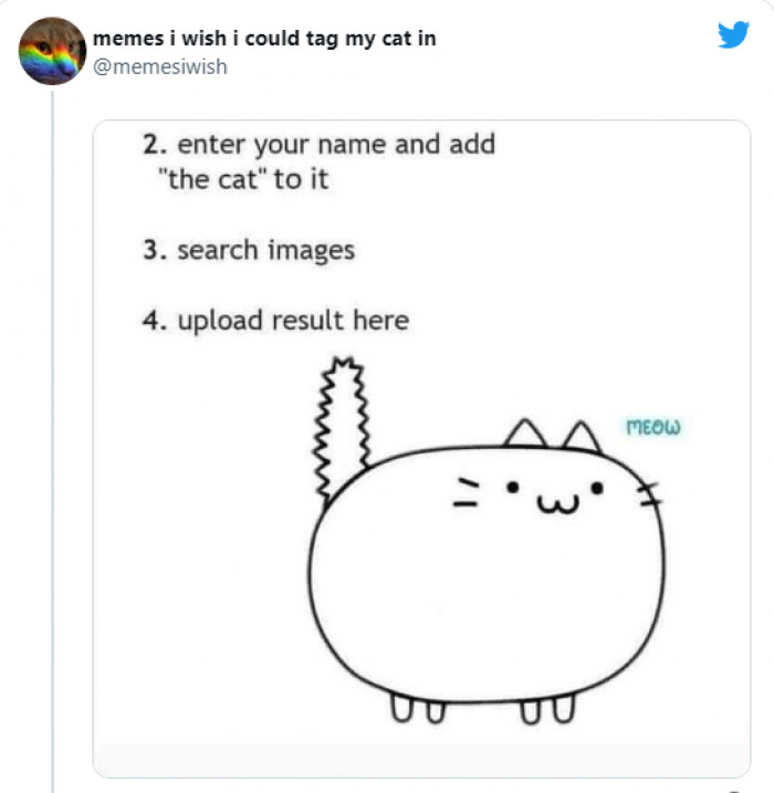 23. Show us who you are as a cat, and that's a take-home assignment.