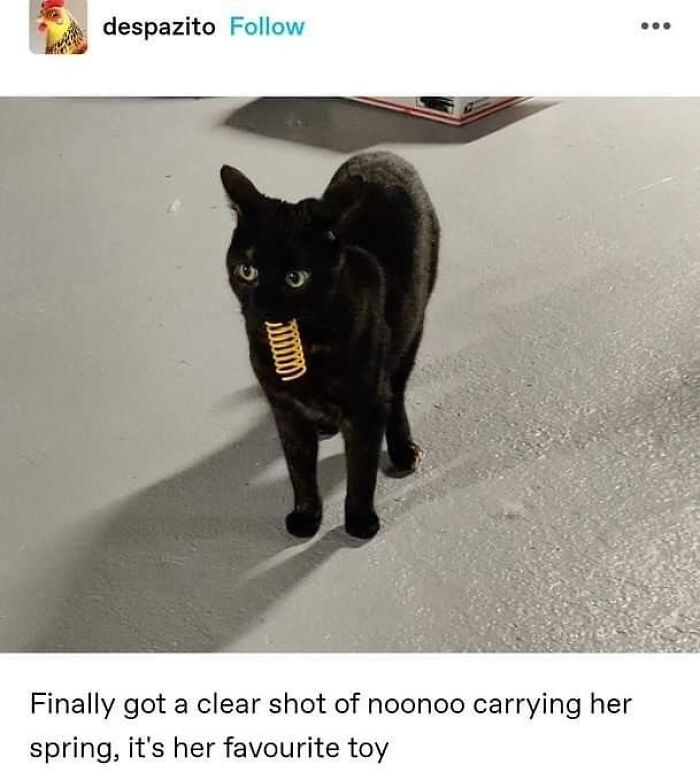 43. “She’s bringing the goods from the spring collection.”