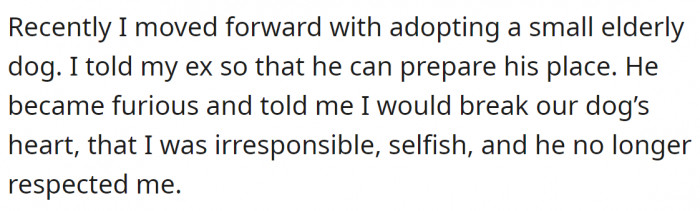 After a while, she decided to adopt a small dog herself, but her ex got mad when he found out since he was taking care of their dog.