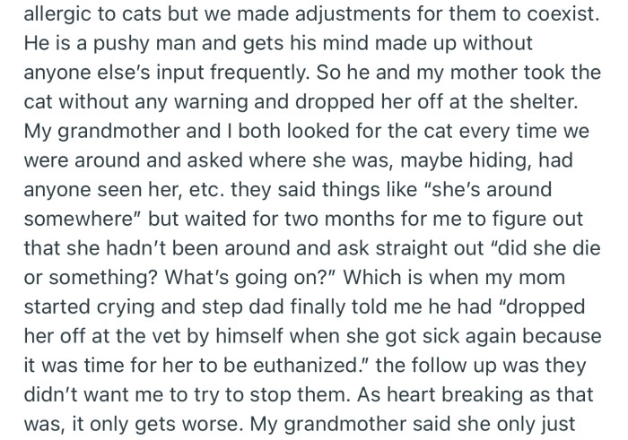 OP’s stepdad and mom secretly dropped her cat off at the shelter
