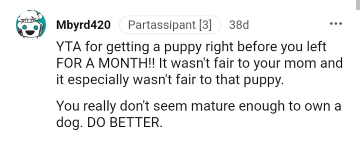 Not Being Mature Enough to Own a Dog