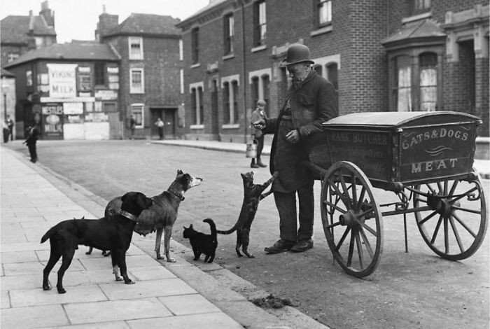 Photo By Francis James Mortimer