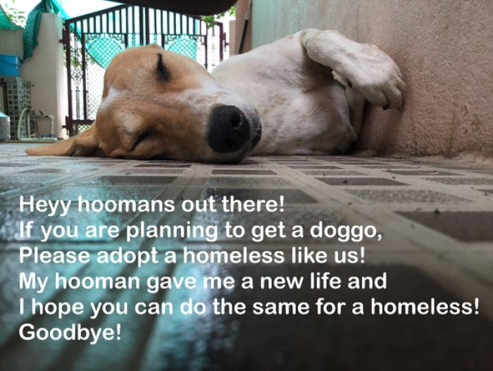 20. "Interesting, isn’t it?"