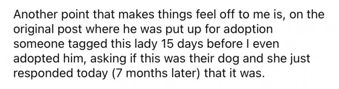 OP mentioned that when the dog was originally posted for adoption on Facebook, someone tagged this person asking if it was their dog, but they never replied until seven months later.