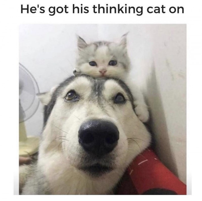 11. And every word he speaks henceforth is full of wisdom