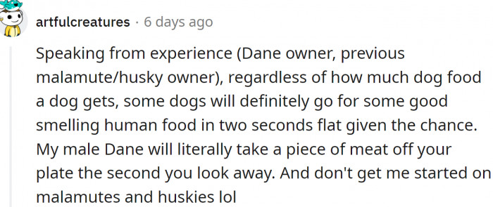 Some dogs are always hungry