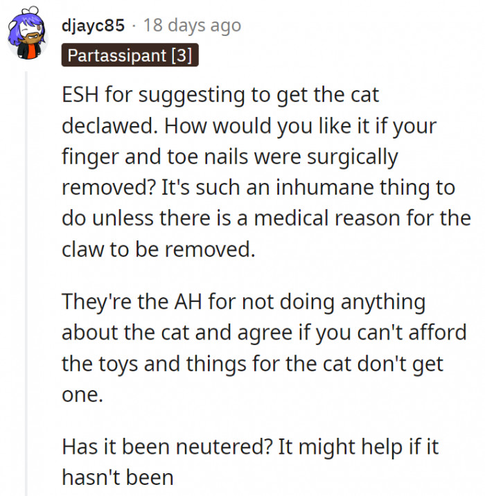 8. If they couldn't afford to get the cat everything it needs, they shouldn't have gotten one