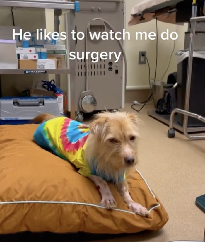 She also takes him everywhere, and we think Travolta is the new intern