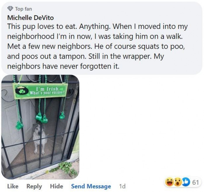 11. Anything goes…into his mouth