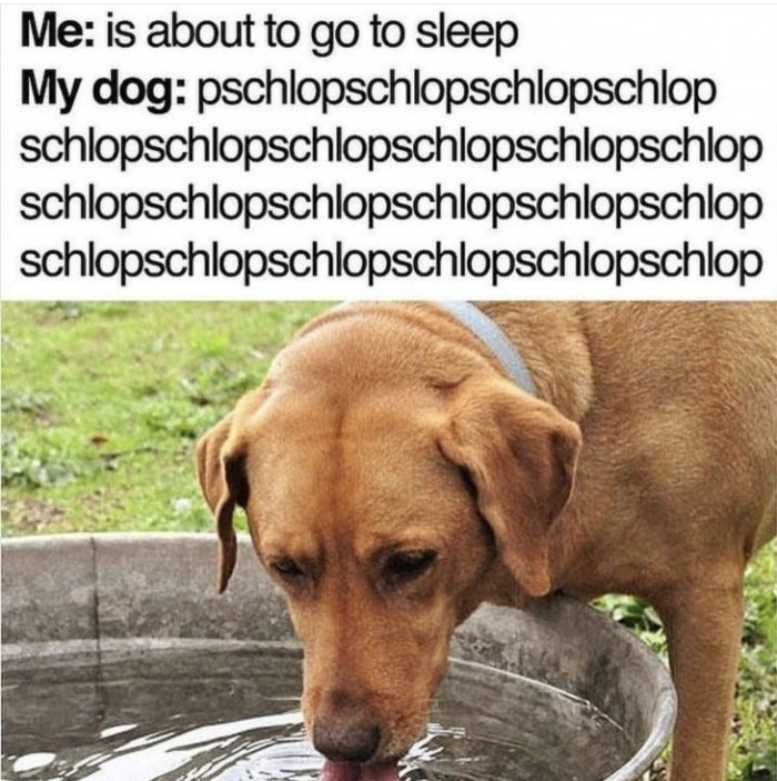 12. Listen to the song of my people.