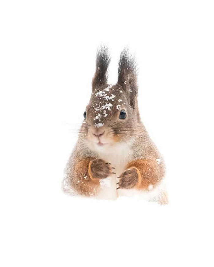 28. This should be one of my favorites