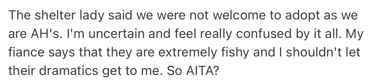 The shelter lady denied OP’s application due to her attitude, which left her more confused. However, OP’s partner felt the attendant was suspicious and advised her not to take the incident to heart.