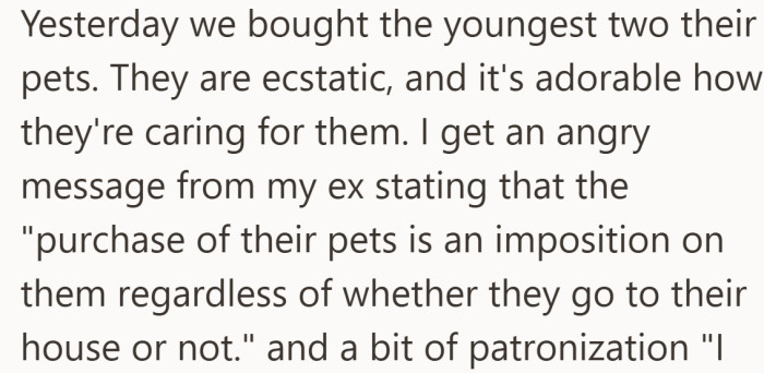 What felt like a happy milestone for the kids immediately turns into a flashpoint between co-parents.