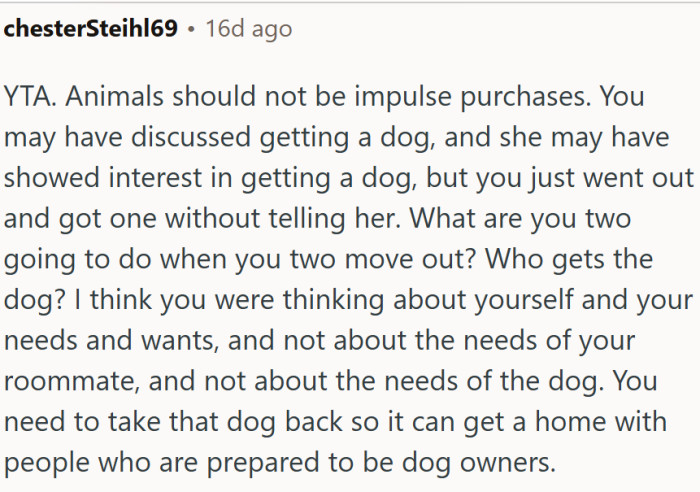 Living things should never be impulsive purchases.