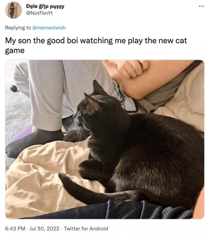 14. He looks curious. What a cutie.