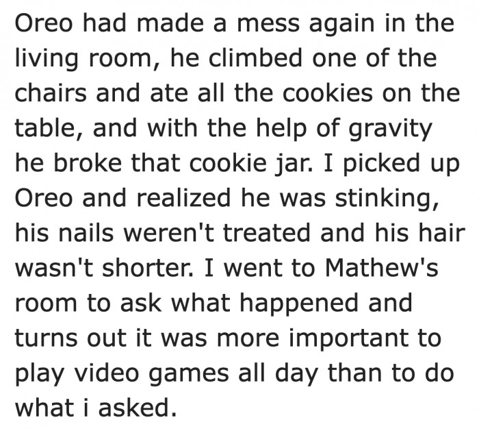 His son decided that playing video games is more important than caring for the dog.