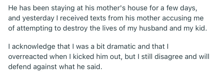 Even OP’s MIL laid her own accusations. She was adamant that OP could end up destroying the lives of her son and grandchild