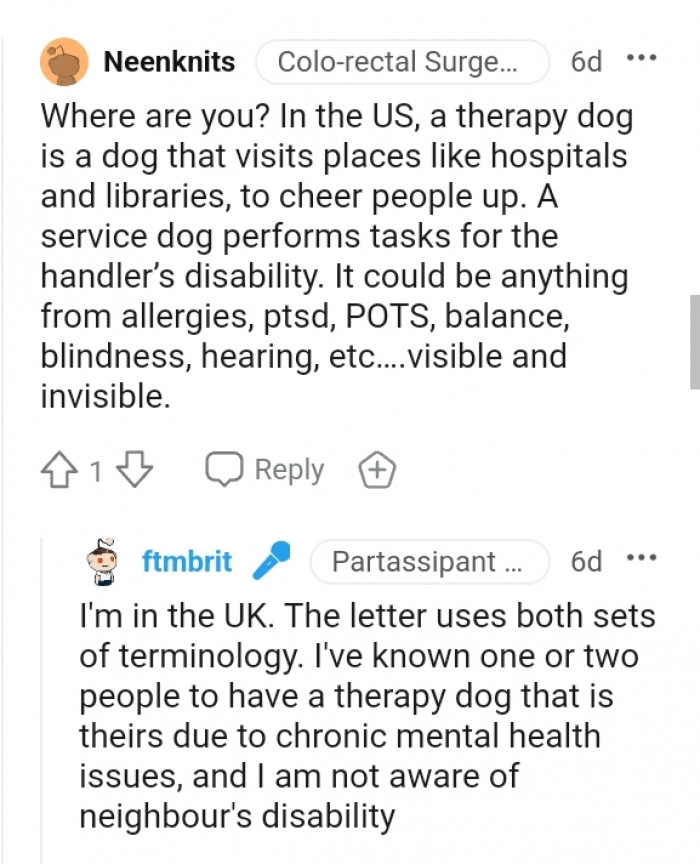 A Service Dog Performs Tasks for the Handler's Disabilities