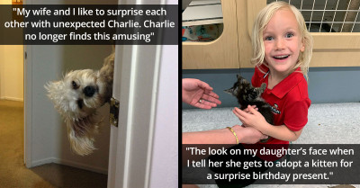 30 People Share Times Their Family Surprised Them In The Sweetest And Funniest Ways