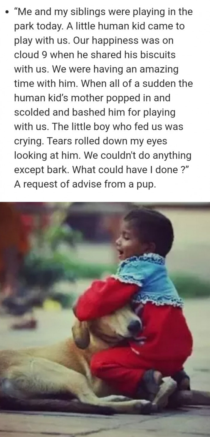 Dark humor dog Q&A panel, “These are pretty sad questions” highlighted