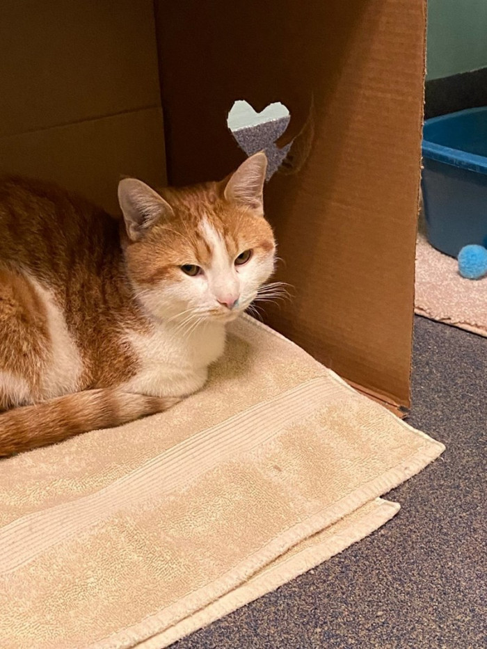 Wild Bill in his space