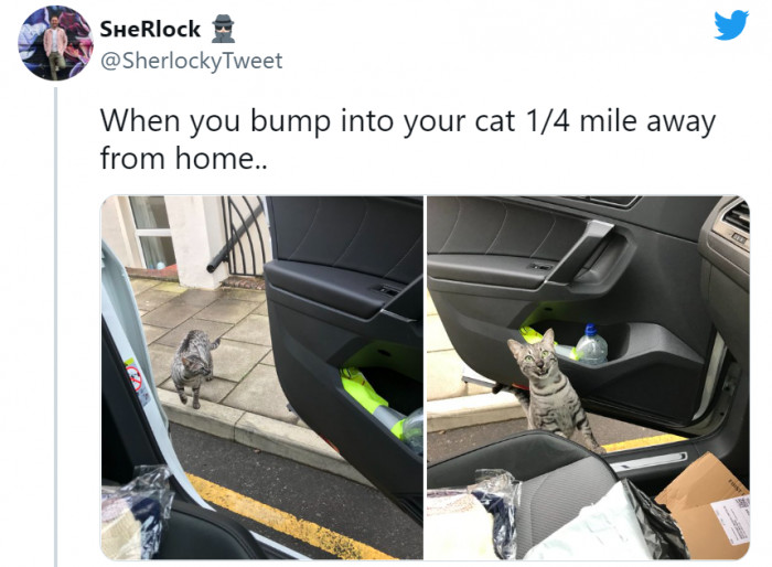 3. That face, though.