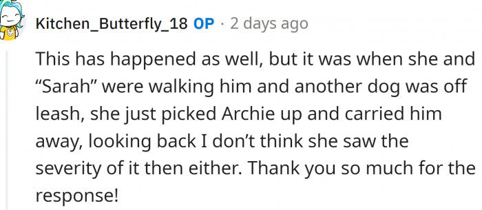 That Dog Needs Serious Training