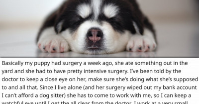 Woman Makes The Tough Choice Between Keeping Her Job And Caring For Her Sick Dog