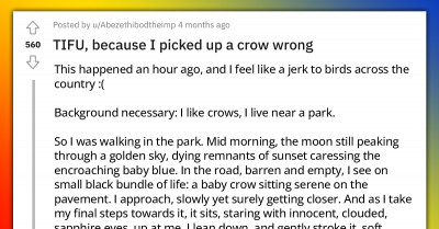Redditor Picks Up Wrong Baby Crow And Its Parents Attack Them