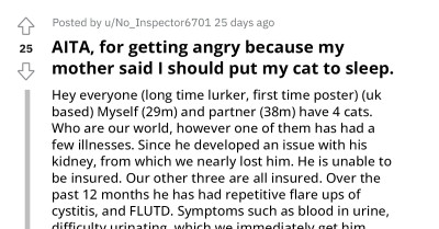 Man Gets Angry At His Mother For Telling Him To Put His Sick Cat To Sleep, Tells Her Words He Now Regrets