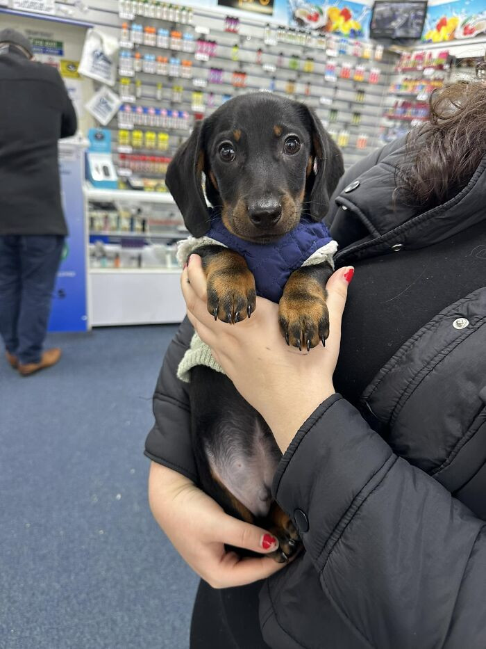 13. Well Would You Look At This Handsome Chap