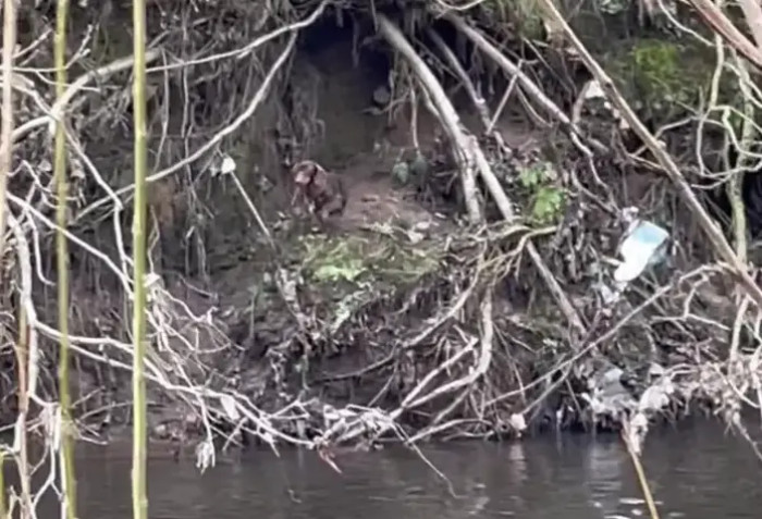 The woman’s Facebook post about the reunion received emotional reactions, with users saying it gave them goosebumps