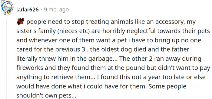 Animals are living beings, not accessories