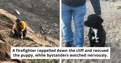 Heroic Rescue—Firefighter Rappels Down Steep Cliff To Save Puppy In Peril